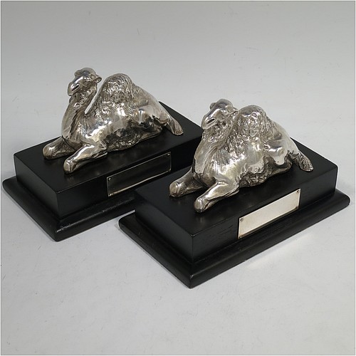 A very unusual and handsome Antique Victorian Sterling Silver pair of cast camels, attached to rectangular stepped plinths with silver inscription panels, and with finely detailed hand-chased bodies in sitting position. Made for the Grocers Guild by Alexander MacRae of London in ca. 1880. The dimensions of these fine hand-made sterling silver camels on plinths are length 13.5 cms (5.3 inches), width 7.5 cms (3 inches), and height 9 cms (3.5 inches).    